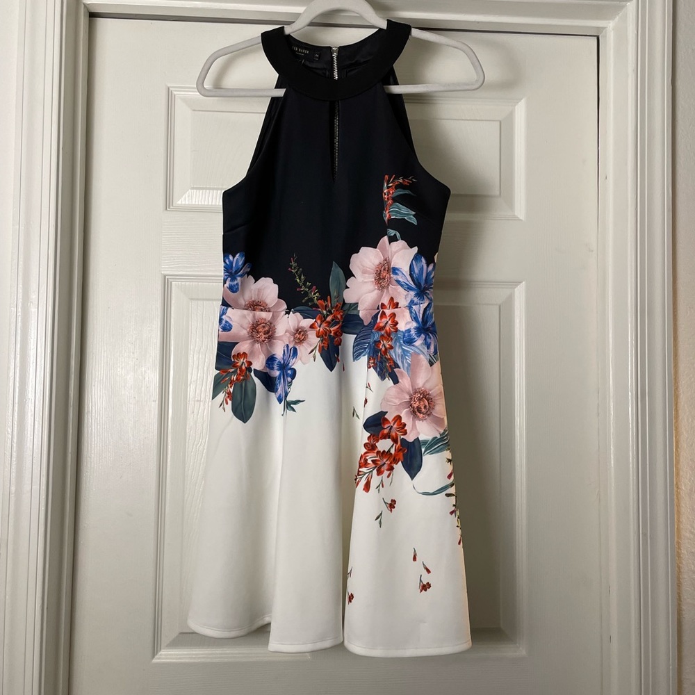 Ted Baker Skater Dress